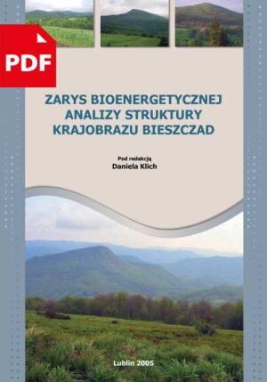 zarys bioenergetycznej analizy struktury